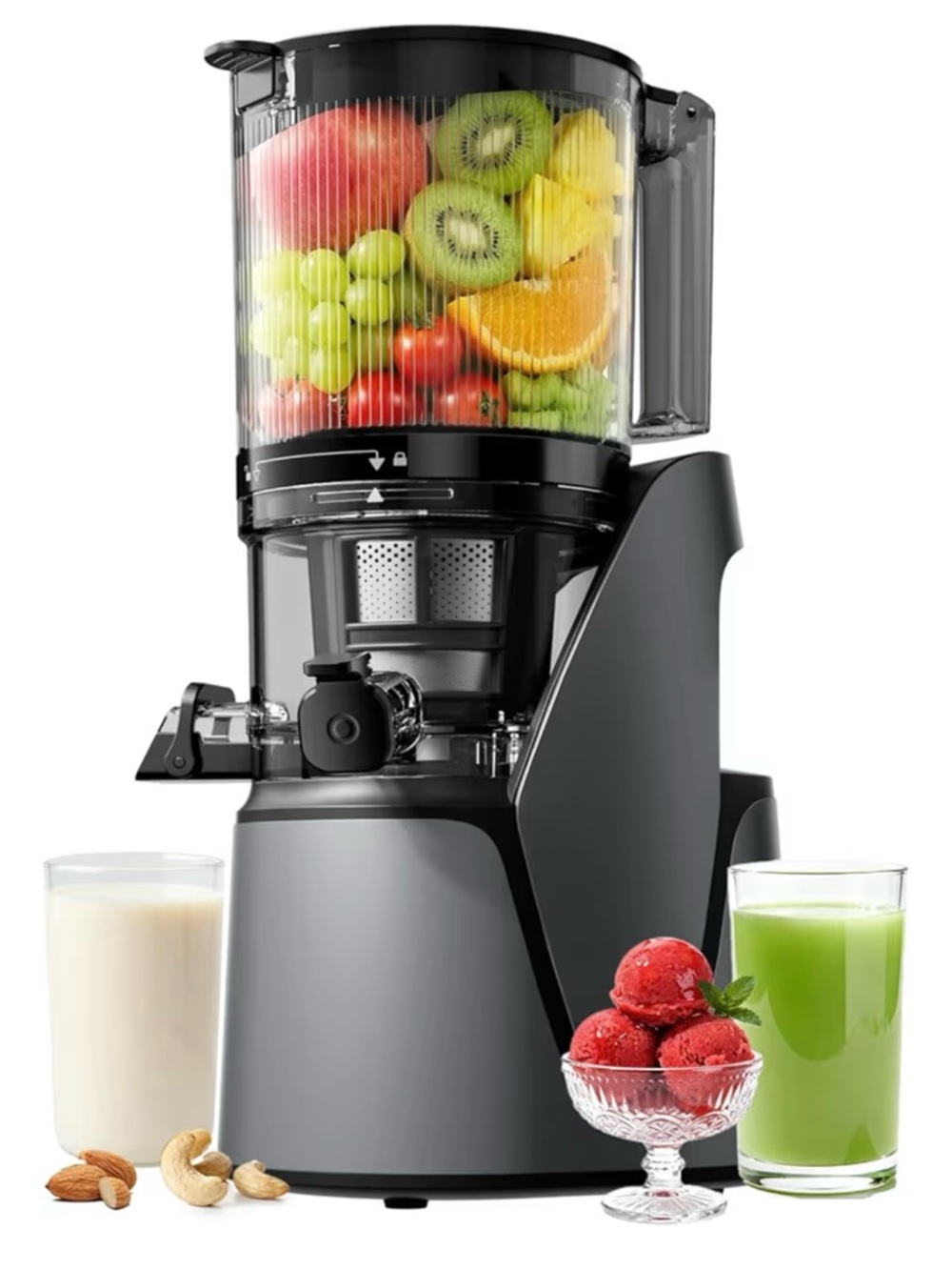 Multi-Function Cold Press Juicer - Gray